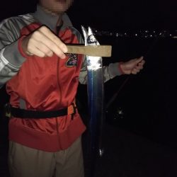 沼島でライトゲーム&ワインド太刀魚
