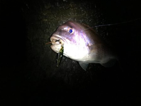 ショアジギング最高