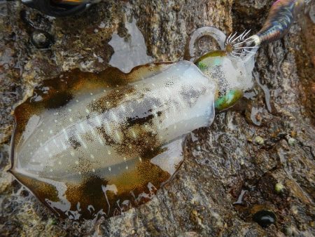 雨の前に