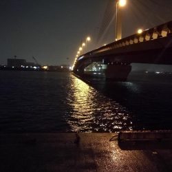 雨天の南港カモメ大橋ヘチ釣行 （キビレチヌ30ｃｍ、黒メバル釣果有り）