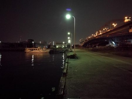 小雨の南港フェリーヘチ釣り （小真チヌ、小キビレ、良ガシラ 釣果）