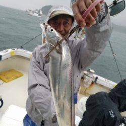 遊漁船　ニライカナイ 釣果