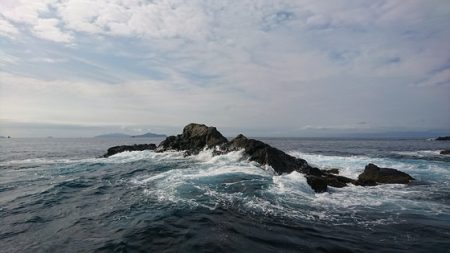 しば渡船 釣果