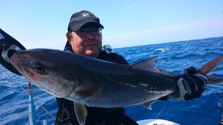 海晴丸 釣果