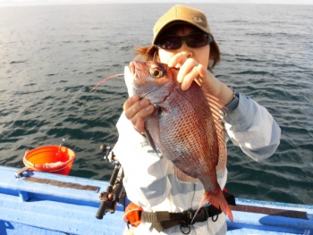 鯛紅丸 釣果