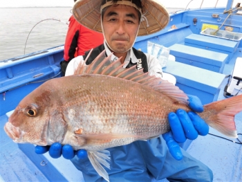 鯛紅丸 釣果