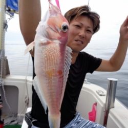 鯛紅丸 釣果