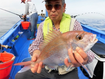 鯛紅丸 釣果