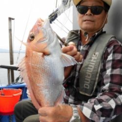 鯛紅丸 釣果