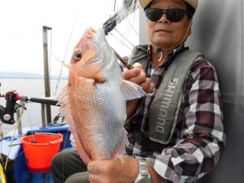 鯛紅丸 釣果