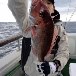 鯛紅丸 釣果