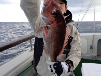 鯛紅丸 釣果