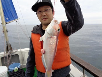 鯛紅丸 釣果