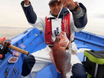 鯛紅丸 釣果