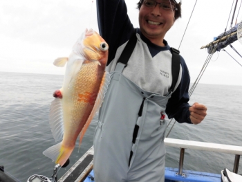 鯛紅丸 釣果