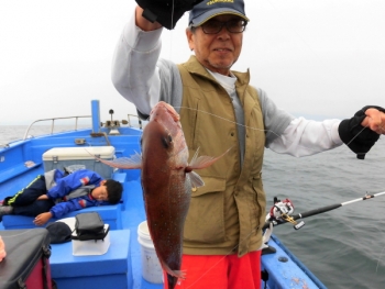 鯛紅丸 釣果