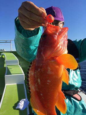 松栄丸 釣果