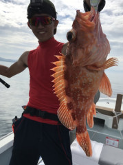 釣船 浦島太郎 釣果