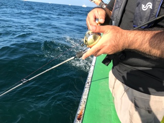 利弥丸（としやまる） 釣果