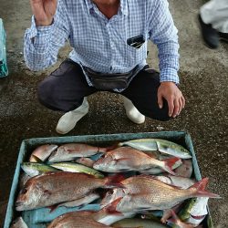 明神釣船 釣果