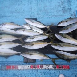 海宝丸 釣果