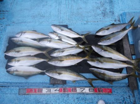 海宝丸 釣果