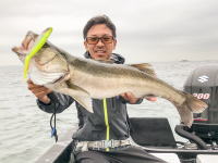 オーシャンマスター 釣果