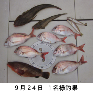 来温丸（らいおんまる） 釣果