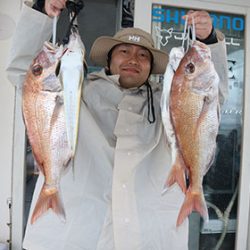 松本釣船２ 釣果