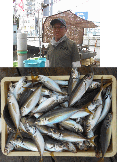 荒川屋 釣果