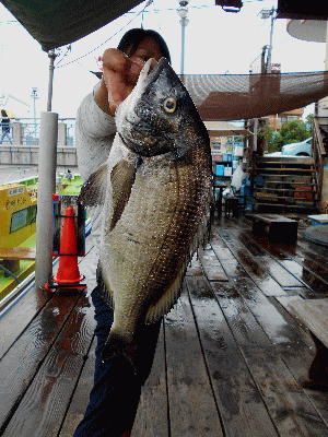 荒川屋 釣果