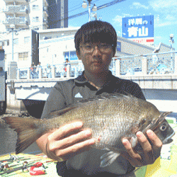 荒川屋 釣果