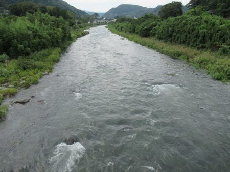 狩野川（狩野川漁業協同組合） 釣果