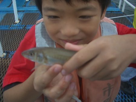 オリジナルメーカー海づり公園(市原市海づり施設) 釣果