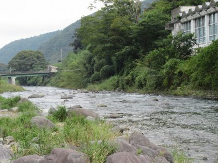 狩野川（狩野川漁業協同組合） 釣果