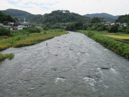 狩野川（狩野川漁業協同組合） 釣果