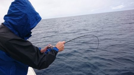 海晴丸 釣果