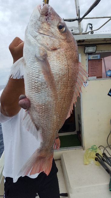 海峰 釣果