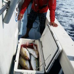 第五慶門丸 釣果