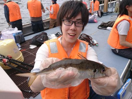 深川　吉野屋 釣果