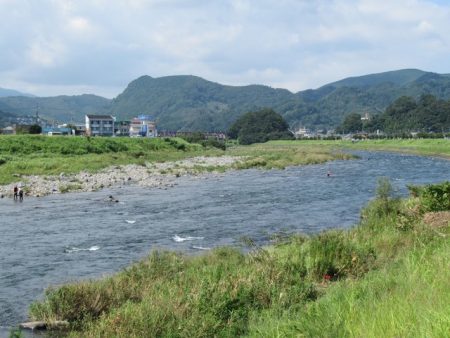 狩野川（狩野川漁業協同組合） 釣果