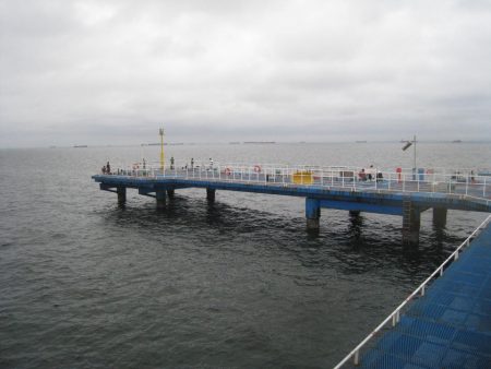 オリジナルメーカー海づり公園(市原市海づり施設) 釣果