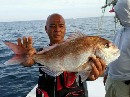 つれ鷹丸 釣果