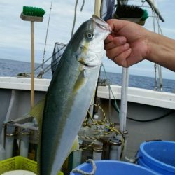 つれ鷹丸 釣果