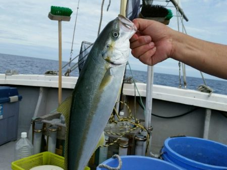 つれ鷹丸 釣果