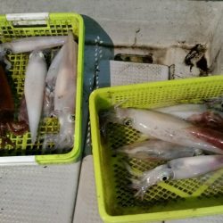 つれ鷹丸 釣果