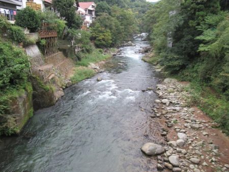 狩野川（狩野川漁業協同組合） 釣果