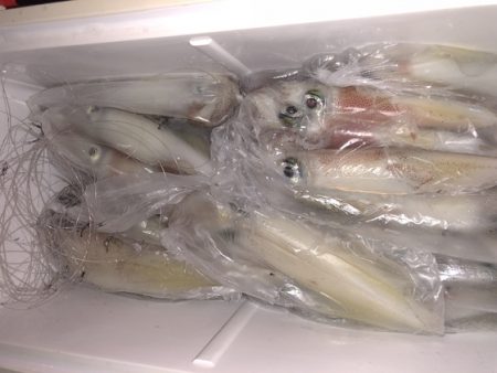 幸風（さちかぜ） 釣果