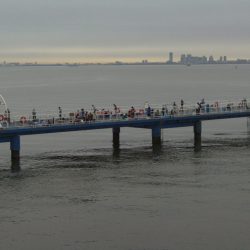 オリジナルメーカー海づり公園(市原市海づり施設) 釣果