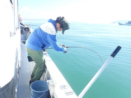 美里丸 釣果